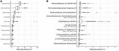 High Diversity and Functional Potential of Undescribed “Acidobacteriota” in Danish Wastewater Treatment Plants